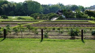 実際に田として利用されいます