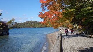 十和田湖観光の起点。駐車はみやげ物店で。５００円分が浮きます。
