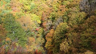 紅葉は最高です。