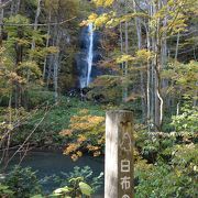 奥入瀬渓流のなかほどにある滝。西側（左岸）にある。