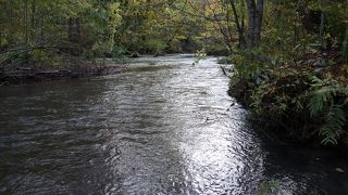 駐車スペースがひろい。渓流の主要バス停。トイレも整備。みやげ物店もある。