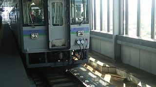 ２両編成で運転される場合もあります