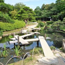 花菖蒲畑　八橋