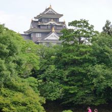 岡山城も見えます