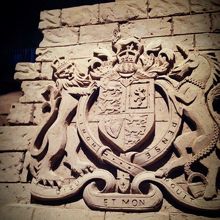 繊細過ぎてそっと歩いてしまう