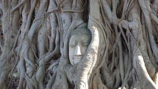 「頭が高い」と怒られます