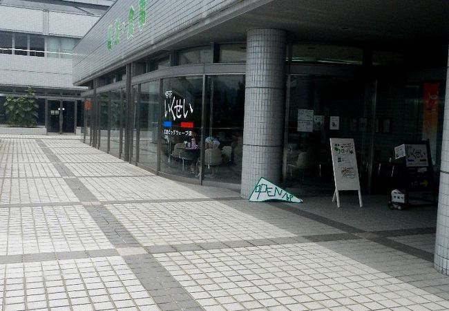 喫茶 いくせい 広島ビックウェーブ店 クチコミ アクセス 営業時間 広島市 フォートラベル