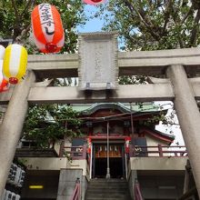 コンパクトに収まっています。