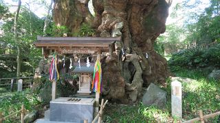 パワースポットです！