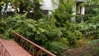 真田太平記館裏手上田城外堀