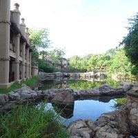 池など水が多いので蚊も多いです