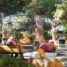 休憩しています