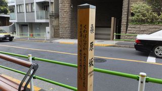 名前は面白いのですが・・・