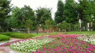 郡山に住みたいなって思わせてくれました。