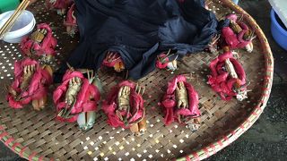 いろいろな食べ物がある