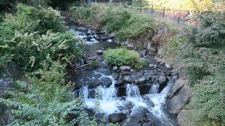 紅葉の時期はさぞかしきれいだと思います。