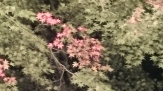 空いていてお勧め