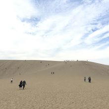 馬の背まで片道１０分