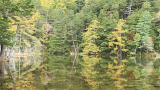 紅葉と澄んだ水がきれいな明神池
