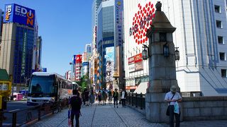 外国人観光客に人気みたい