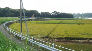 サイクリストには美味しい。優しい。