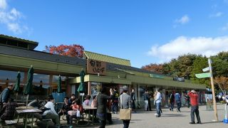 裏に広場があります