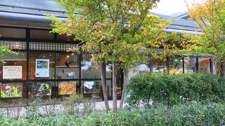 丹沢の情報収集