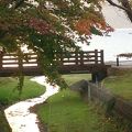 ロビーから見える十和田湖に注ぐ川を渡れば青森県の宿