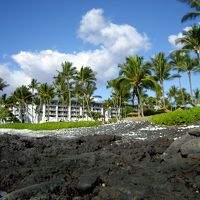 とにかく美しい