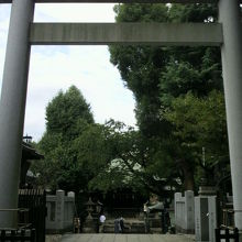 五條天神社の鳥居と参道です。緑の樹々に囲まれた環境は静かです