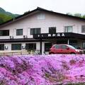 道央の愛別町の湯元「協和温泉」、芝桜が歓迎、のどかな田園風景にポツンと