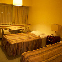 あまり広くはなくツインだとスーツケースを広げるのに苦労。