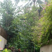 エントランス前