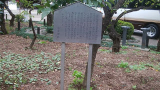 思ったほど大きくない