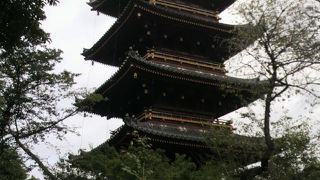 上野の五重塔は、旧寛永寺五重塔との名称であり、現在は上野動物園の中にあります。