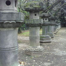 参道の入口の鳥居の方向にも、多数の石灯籠が一列に並んでいます