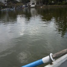 普通の手漕ぎボートなので、漕ぎ方を知ってないときついかも。