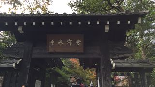京都の町を一望！