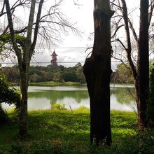 国立カンドーヂー植物園