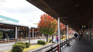 何度行っても楽しめます！