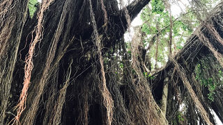古都台南の歴史散策と古き良き街歩きならここ