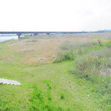 浮島湿原から稲敷大橋方面を見る。