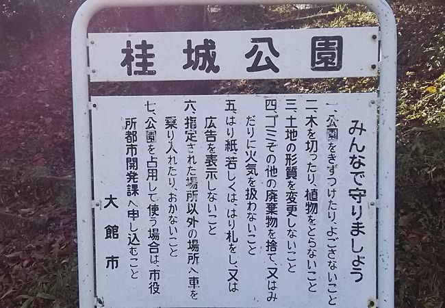 駐車場が少ないのでは