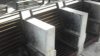 もったいないが・・・・・