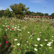 無料の府営公園