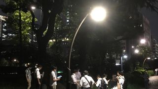 「コイキング」出現多い