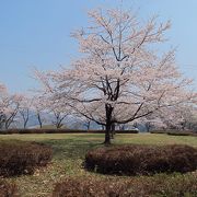 【鳴子】桜の時期がおすすめ