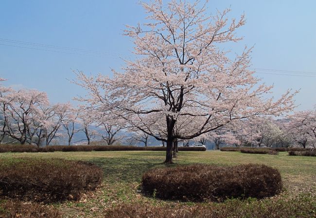 【鳴子】桜の時期がおすすめ