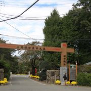 沼田城の跡が公園に