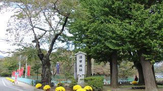 河岸段丘上に築城